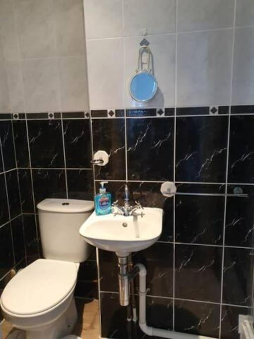 Orme View Dog Friendly Apartment Llandudno Buitenkant foto